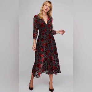 Jalisca Velvet Floral Print Dress